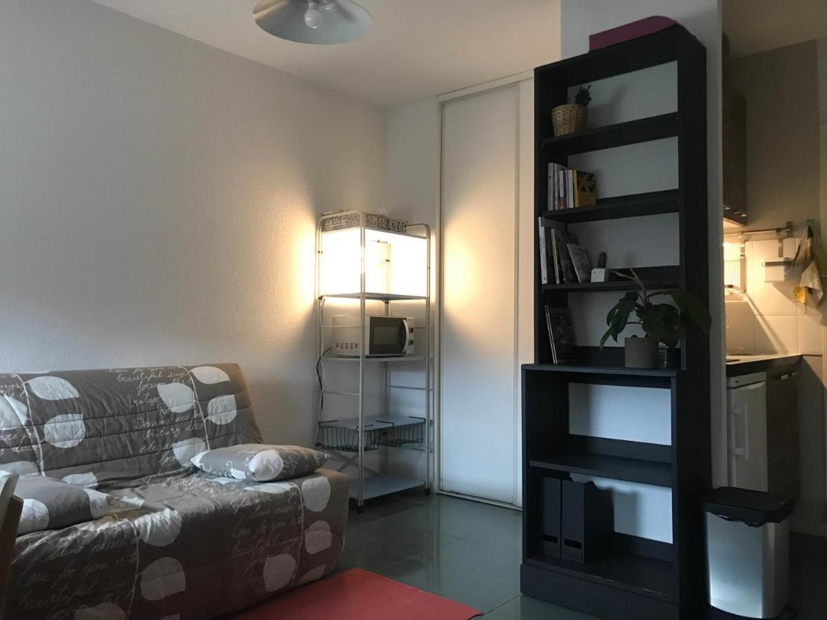 Appartement Dans Toulouse Hyper Centre 외부 사진